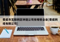 娄底市互联网区块链公司有哪些企业[娄底网络有限公司]