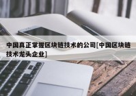 中国真正掌握区块链技术的公司[中国区块链技术龙头企业]